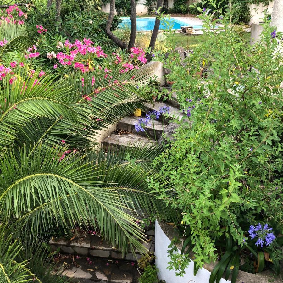 L'Appartement - Jardin Secret Marseilles Exterior foto