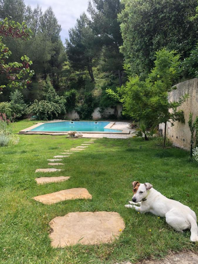 L'Appartement - Jardin Secret Marseilles Exterior foto